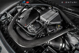 Eventuri BMW F8X M3/M4 S55 Black Carbon Engine Cover — view 8 — YPG Motorsport