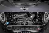 Eventuri F5X Mini Cooper S Carbon Intake — view 6 — YPG Motorsport
