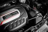 Eventuri Audi 8X S1 Carbon Intake System — view 7 — YPG Motorsport